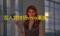 双人竞技场vivo渠道版