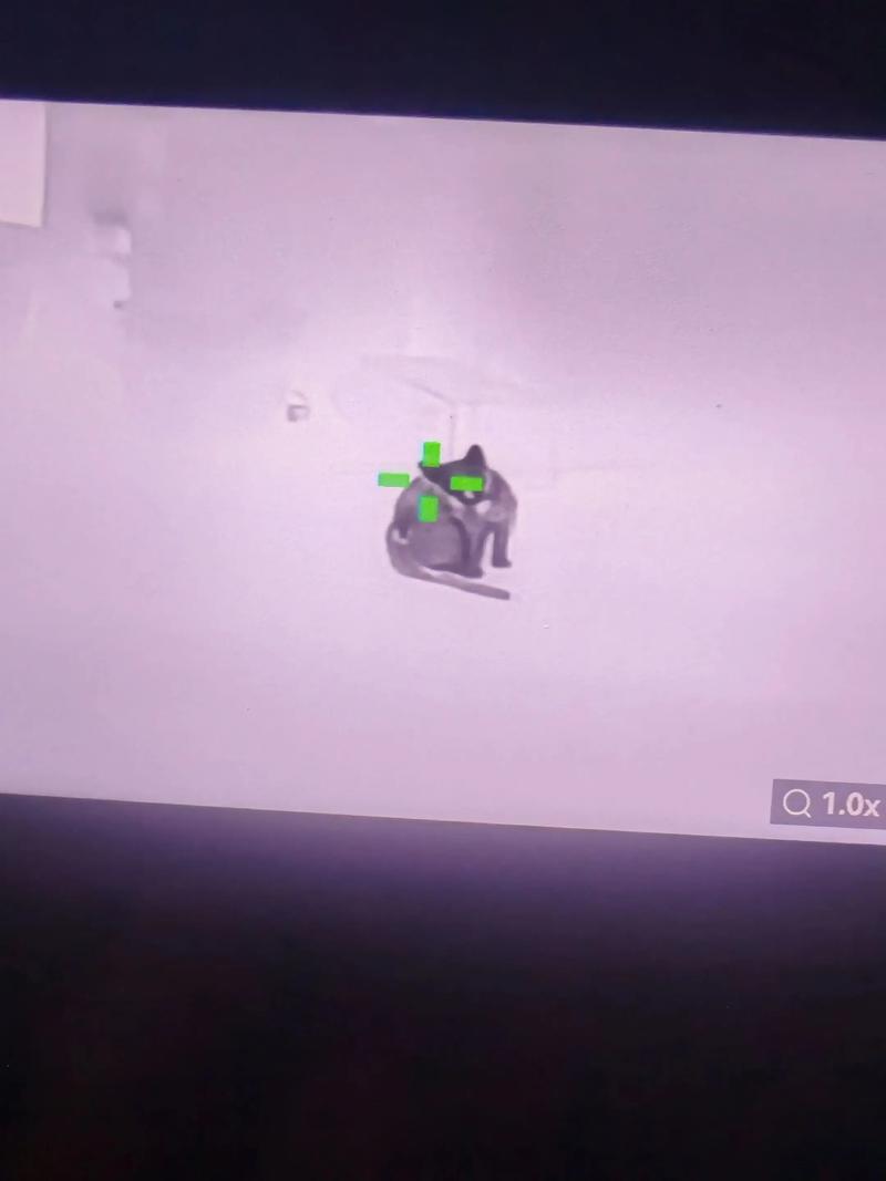 马苏做头发什么梗